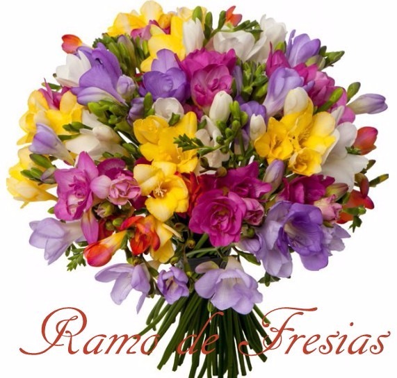 Envio y venta de flores ,rosas, plantas,arreglos florales ,regalos y desayunos a domicilio con delivery gratis en la Ciudad Autonoma de Buenos Aires y con costo de env�o en localidades del Gran Buenos Aires asi como delivery de flores y plantas a trav�s de florerias asociadas en todas las provincias de la Argentina, Buenos Aires, la Pampa, Tucuman, La Rioja, R�o Negro, Entre Rios, Corrientes, Misiones, Neuquen, Chubut, Tierra del Fuego, Santa Cruz, San Luis, Mendoza, Cordoba, Jujuy, Formosa, Santiago del Estero, Salta, Chaco, Catamarca ,San Juan, y ademas realizamos el delivery de flores ,coronas,palmas , plantas y regalos a todas las ciudades de Argentina, Mar del Plata, C�rdoba, Buenos Aires, con cargo en Santa Rosa, La Plata, Bella Vista, Neuquen, Pilar, Paran�, Posadas, Resistencia, Cipolleti y mas de 300 ciudades y localidades en todo el territorio de nuestro pa�s, asi como tambien tenemos la posibilidad de enviar flores a casi todo el mundo en cuestion de horas